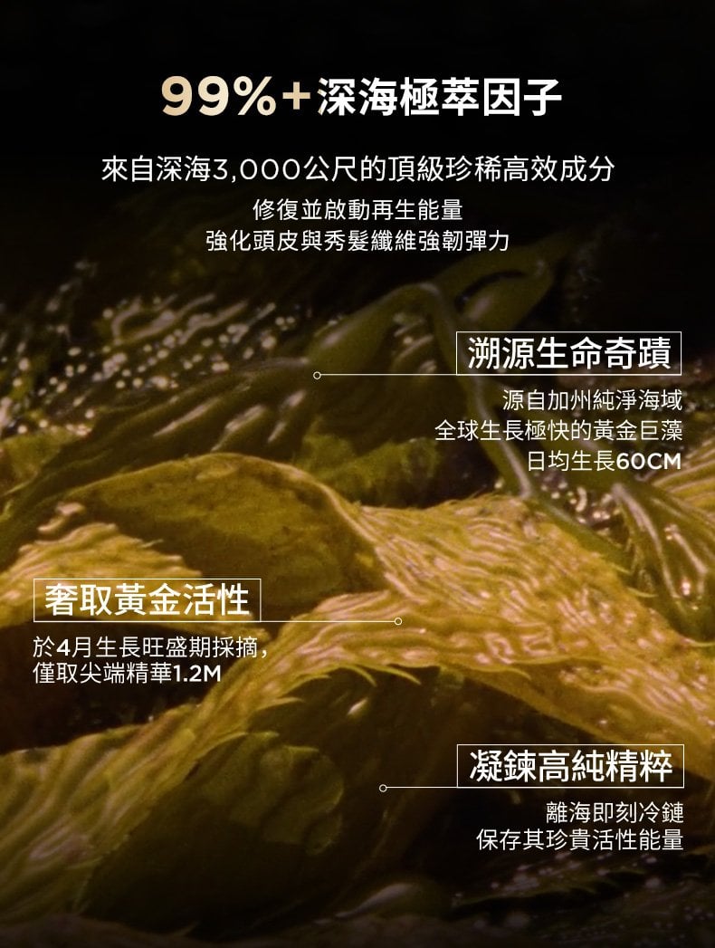 巴黎卡詩週年慶預購會
